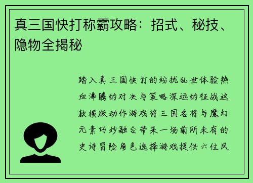 真三国快打称霸攻略：招式、秘技、隐物全揭秘